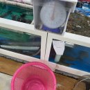 방어진어촌계슬도활어직판장 이미지