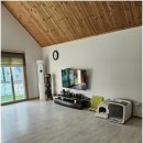 참좋은애견 이미지