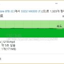 이지스토어