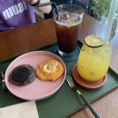 이차돌 태안동문점 | 튀김,대한만세튀김,대한회센터,대한횟집,백사장항,닭발,양주,해장국,태안맛집,태안시내맛집,태안 이차돌 ::