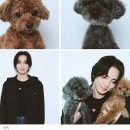 샤이니펫 이미지