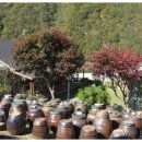 동강백운산 민박 이미지