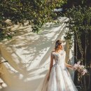 에이미하우스 이미지