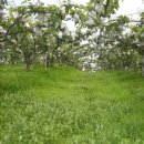 한마음 농장 이미지