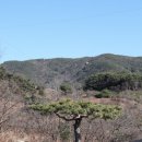 남사-3 이미지