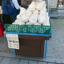 서울강냉이