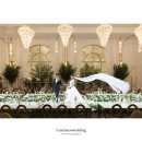 사비숲 | 야외 스냅 무료 본식스냅 캐치아이웨딩 짝꿍코드(사비 1만원 페이백)