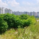 구룡천2 이미지