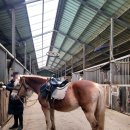 남원읍-109 | [제주/서귀포시] 제주도 가볼만한곳 액티비티 ATV와 승마체험을 할 수 있는 제주리딩팜승마클럽