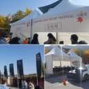 LOLO FAMILY PICNIC Day 다녀왔습니다!! (한성자동차 시월愛 패밀리 피크닉 데이 페스티벌)