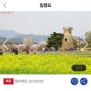 보문여행사