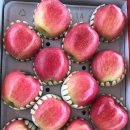 능금농장 이미지