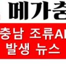 천안메추리농장 이미지