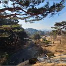 양함선생 충신정려 | 아산 가볼만한곳 현충사 은행나무 여행