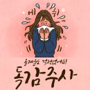 지파이브(G5)연합의원 이미지