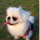 다래실천 이미지