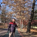 시골쥐식탁 이미지