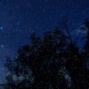 두손모아 반딧불이 이미지