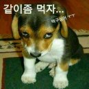 들마루 이미지