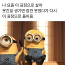 남태령호프치킨 | 괜찮아도 괜찮아