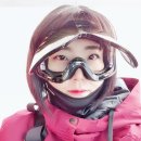 나인쓰리 이미지