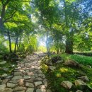 숲정원 이미지