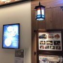 느티나무와 곰이복이 이미지