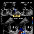 THE힘찬동물병원 이미지