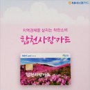 합천새남부농협가회지점 | 합천사랑상품권 및 합천사랑카드 신청 및 구매 방법
