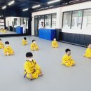 동아대빛태권도 네이버블로그