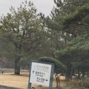 서귀포칼호텔집단급식소 | 제주 핀크스 포도호텔 솔직후기 동영상 有 자연을 담아놓은 호텔