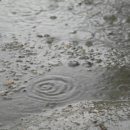 (주)오월에숲 이미지