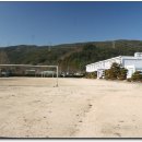 영오초등학교 Daum카페