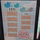 [테이블에이 홍대] 홍대 이색데이트 추천 실내 동물원 솔직 후기