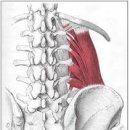 프로 팰리스 짐 이미지
