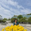 안흥봄날부동산공인중개사사무소 | [프라임] 봄나들이 문화산책_feat.국중박