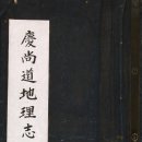 동국지리정보