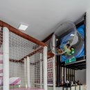 소울키즈풀빌라펜션 이미지