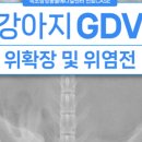 속초삼성동물병원 이미지