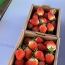 서흥농장 이미지