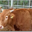 으뜸농장 이미지