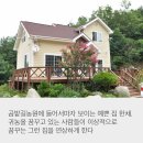 곰밭농장 이미지