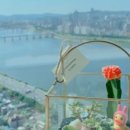 나만의 작은 정원 "테라리움" 만들기! 원데이클래스
