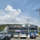 피터펫카페 가덕도점 네이버블로그