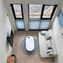 또시오라 이미지