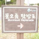 물오름 이미지