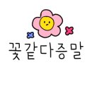 카페도손