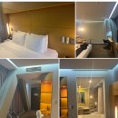 엘디스리젠트 | 대구 중구 숙소 추천 – 엘디스리젠트호텔 신관·본관 비교 후기