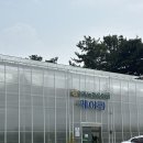 라파엘메디케어 이미지