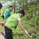 산림청 동부지방산림청 영월국유림관리소 티스토리